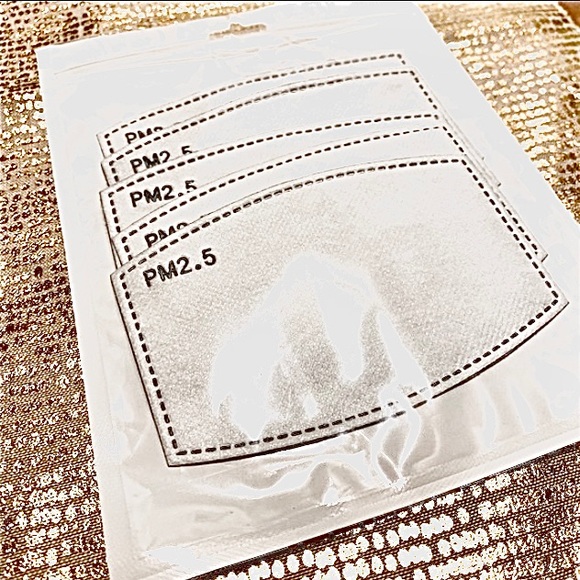 PM2.5 Filters (5) Replacements for Face Masks - Picture 3 of 4